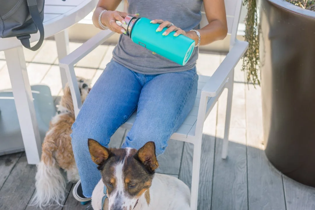 Person sitting on a white outdoor chair holding a turquoise water bottle, with two dogs nearby on a wooden deck, one dog's head visible in the foreground and the other behind the chair. Large potted plant on the right.