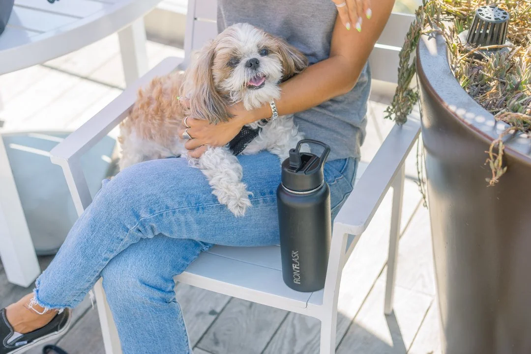 Person sitting on a white outdoor chair holding a small, fluffy dog on their lap. The person is wearing blue jeans and a gray shirt, with a black water bottle on the chair next to them. There is a large potted plant nearby.