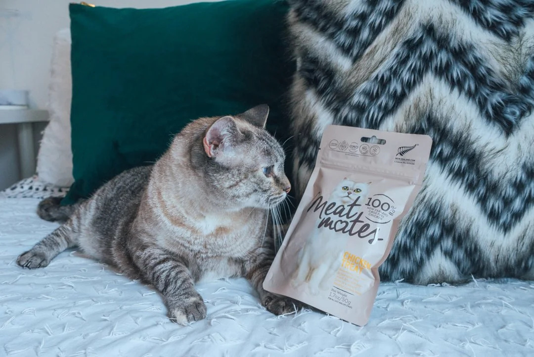 A gray tabby cat lying on a bed next to a bag of 'Meat Mates' chicken feline treats. The bed has white bedding with textured patterns and decorative pillows in dark green and a furry, animal-print pillow.