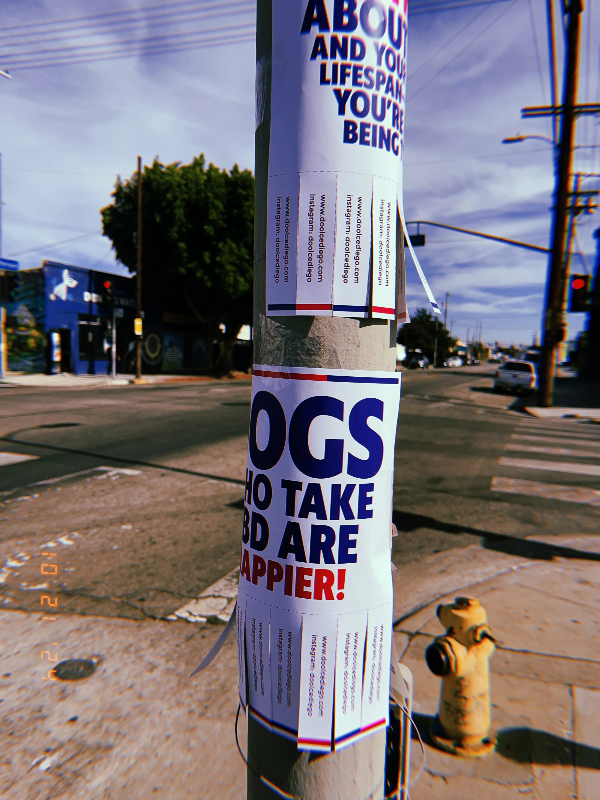 Poster on a pole reminding dog owners to clean up after their pets, with the message 'DOGS WHO TAKE FOOD ARE HAPPIER!'