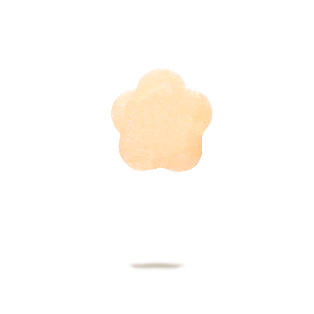 A melting ice cube with a flower shape, casting a soft shadow on a white background.