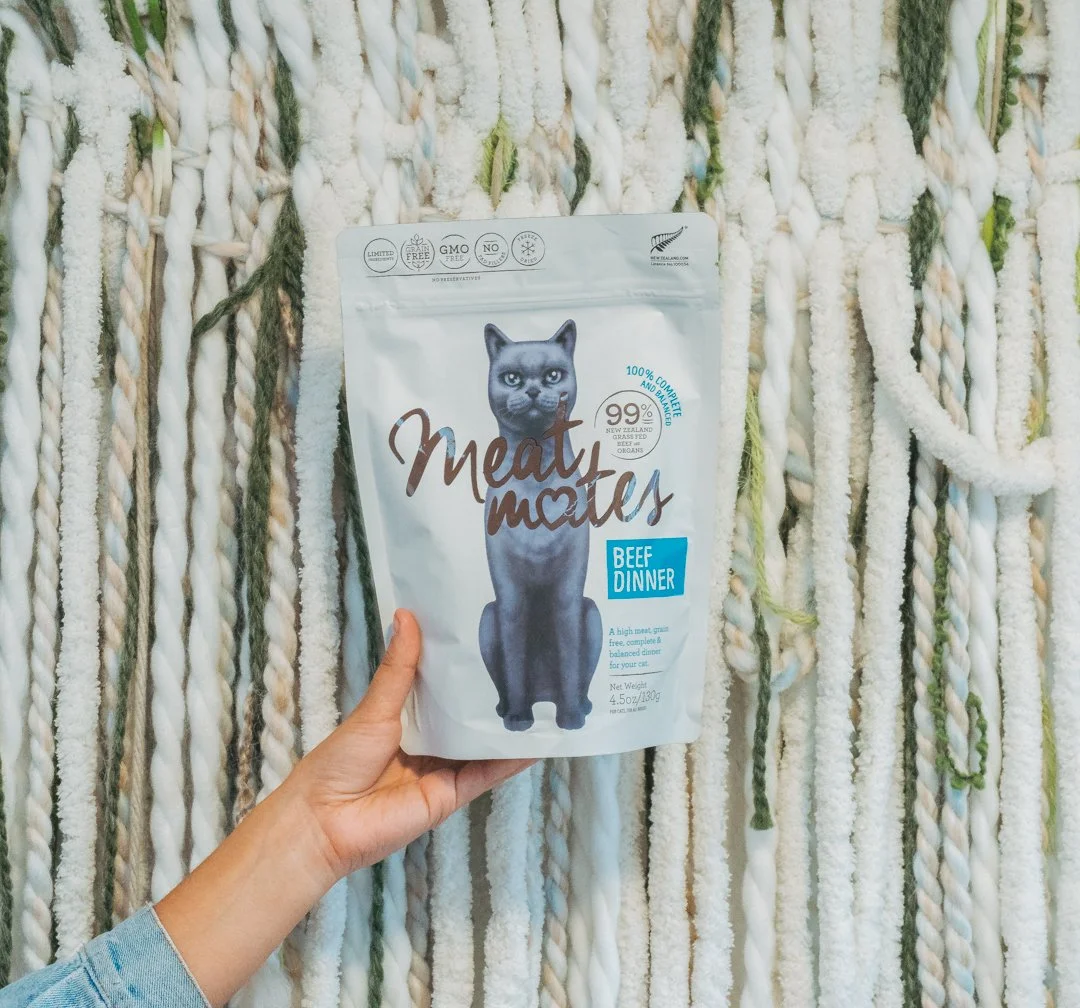 A person holding a bag of meatless cat food labeled 'Meat Mates, Beef Dinner' in front of a textured woven background.