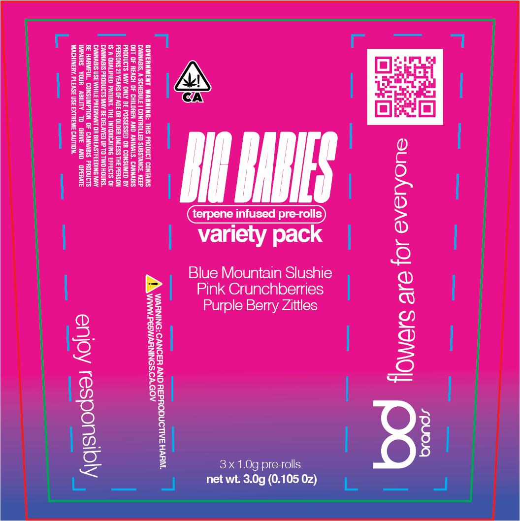 Bright pink packaging label for 'Big Babies' terpene-infused pre-rolls, variety pack with Blue Mountain Slushie, Pink Crunchberries, Purple Berry Zittles; 3 pre-rolls totaling 3 grams with THC warning and website information.