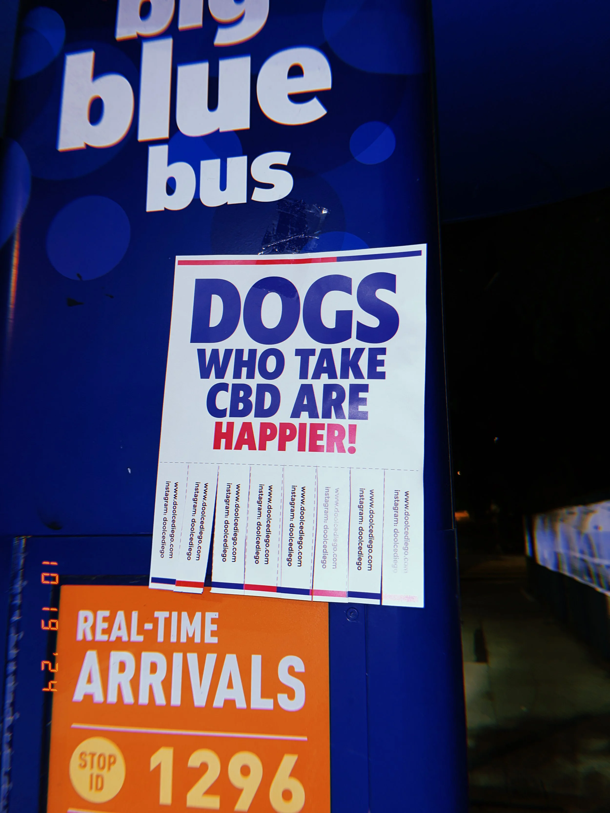 A poster on the side of a bus or bus stop features the words 'big blue bus'. A flyer below states, 'Dogs who take CBD are happier!' with social media and website information. An orange sign indicates real-time arrivals with stop ID 1296.