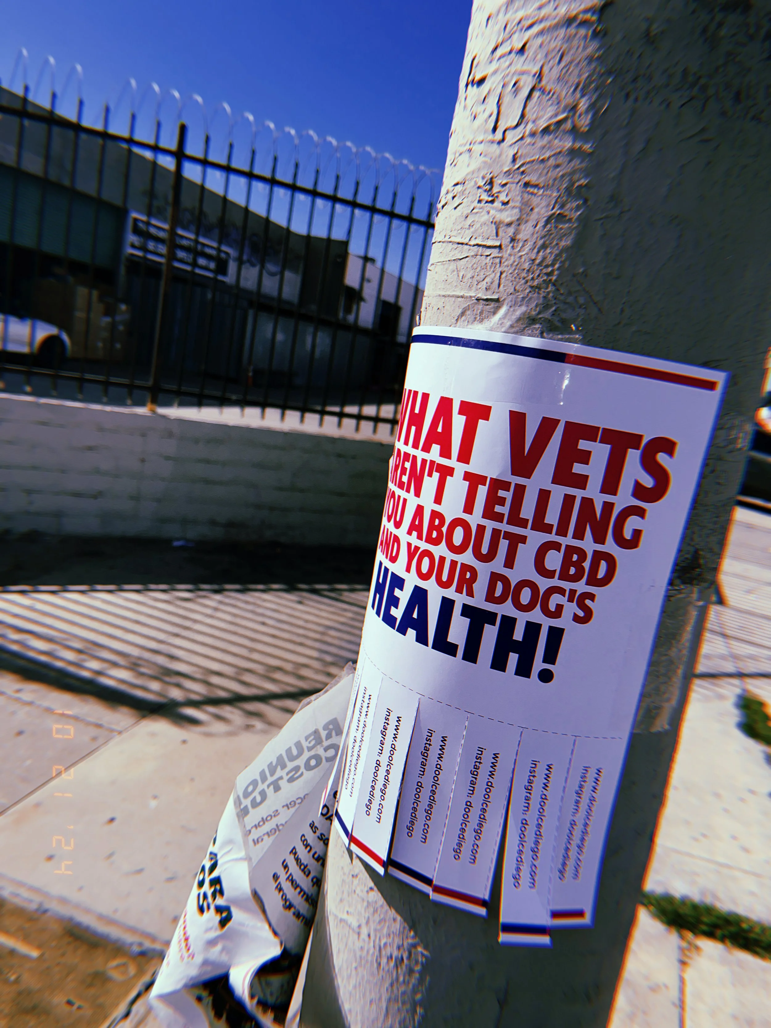 A flyer attached to a utility pole with the headline: 'What Vets aren't telling you about CBD and your dog's health!'
