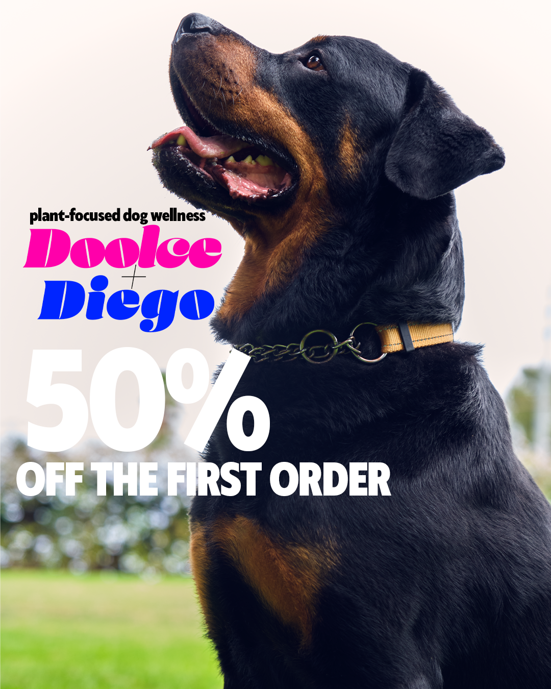 A Rottweiler dog outdoors with promotional text about plant-focused dog wellness offers, including a 50% discount on the first order, and the brand name Dolce Diego in bold pink and blue font.