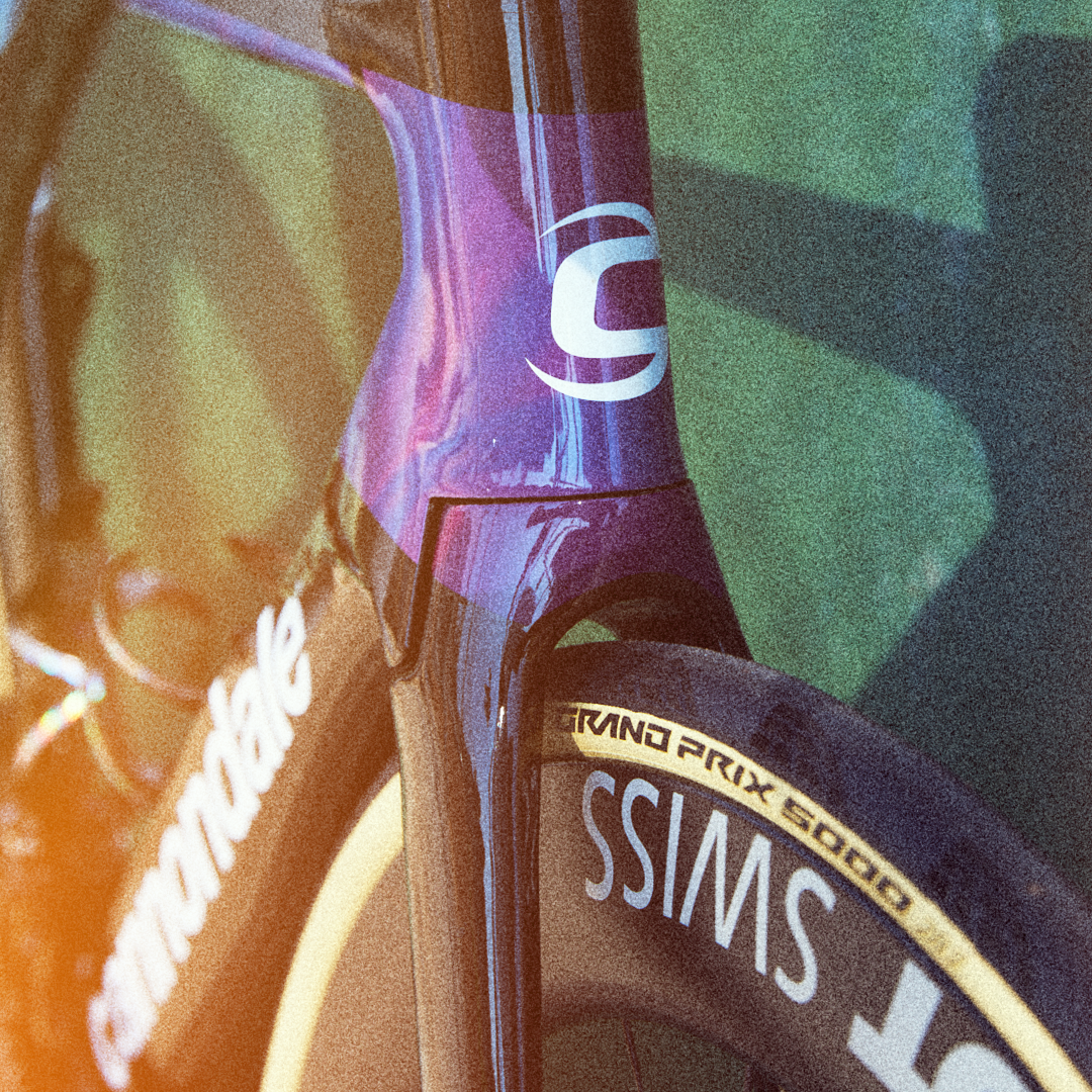 Close-up of a professional racing bicycle wheel and frame, displaying brands such as Specialized and SWISS, with a focus on the tire and part of the frame.