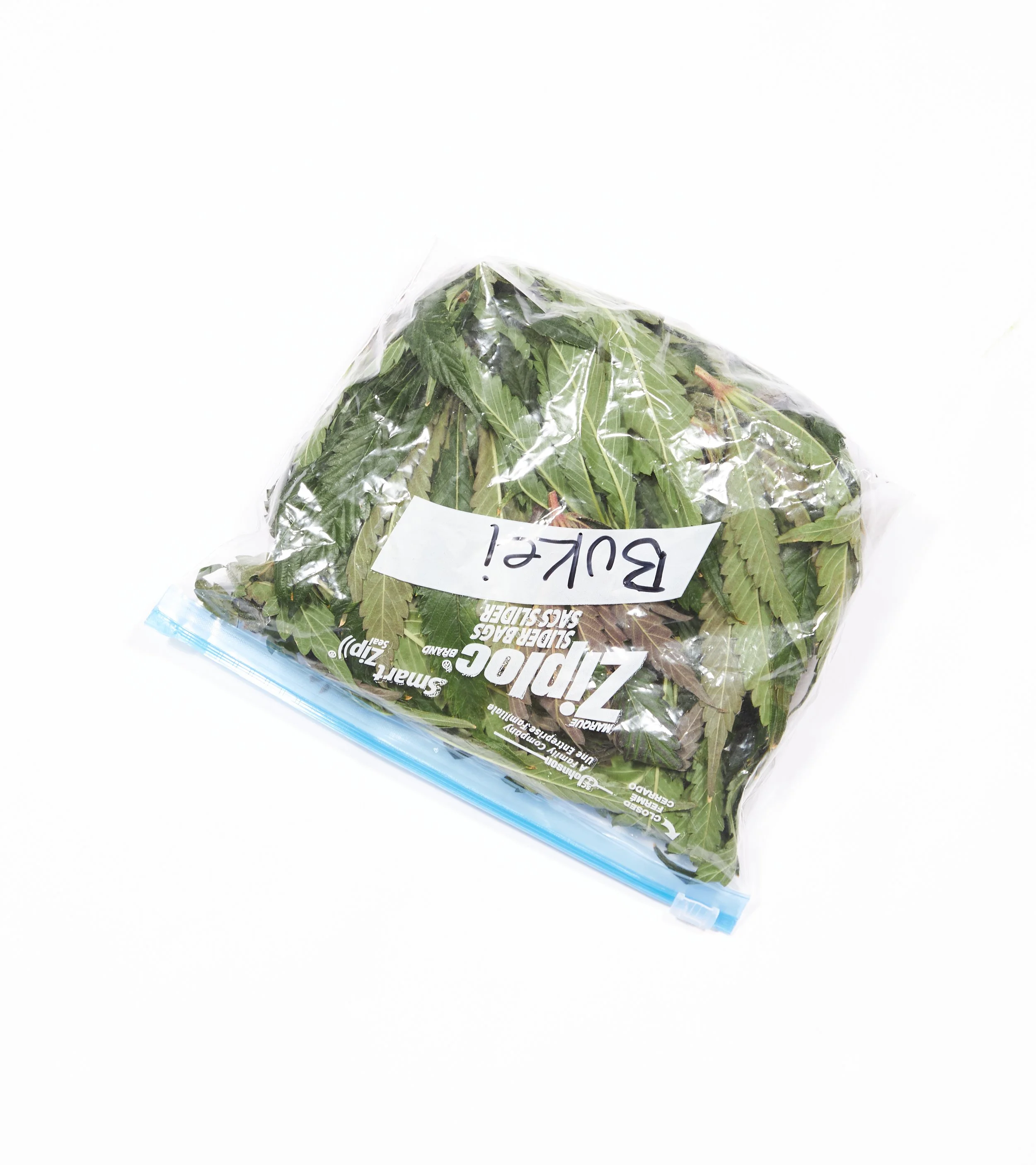 A plastic Ziploc bag filled with fresh green leaves, labeled with a note that reads 'BULLET!'