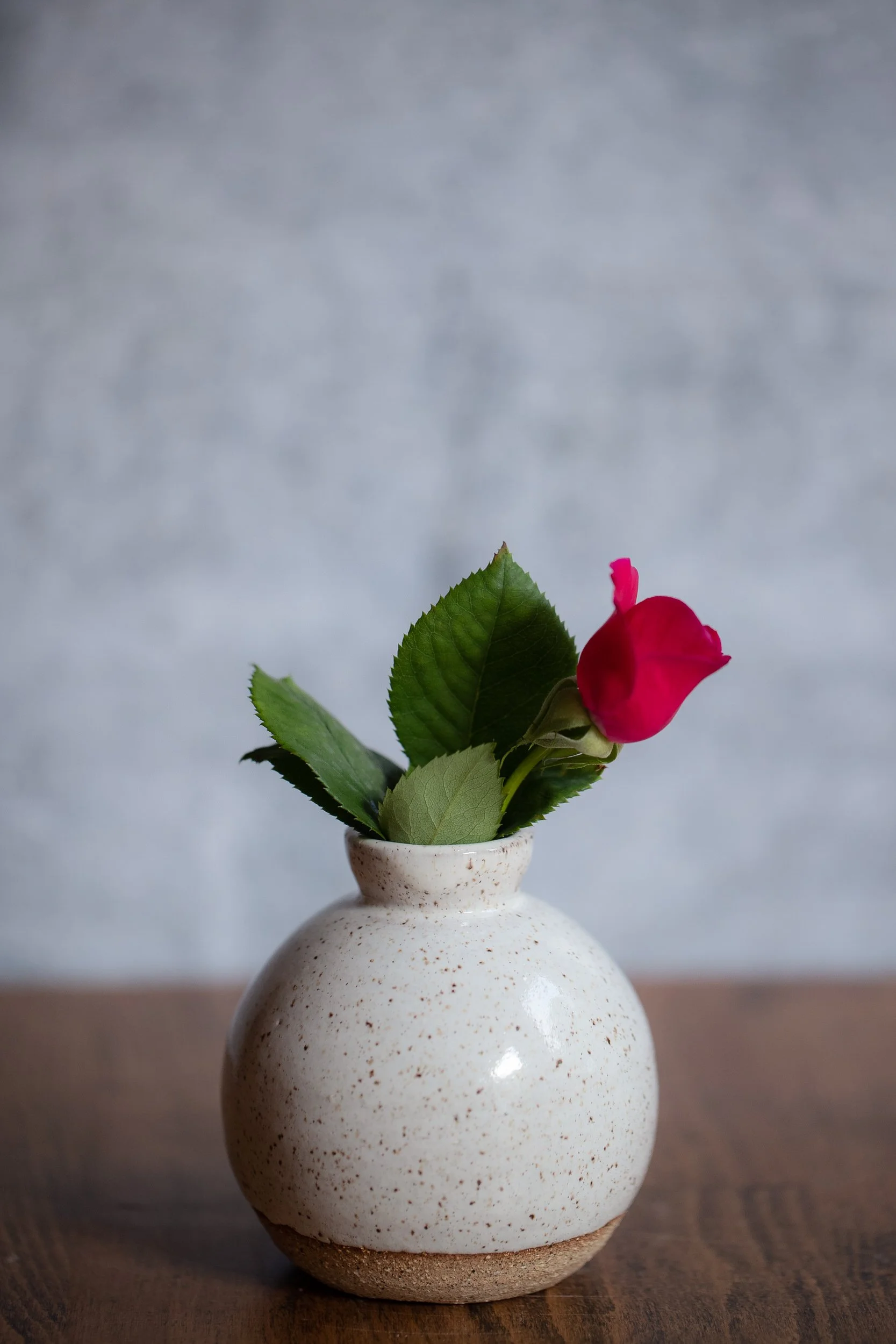 A small vase with a single red rose in it