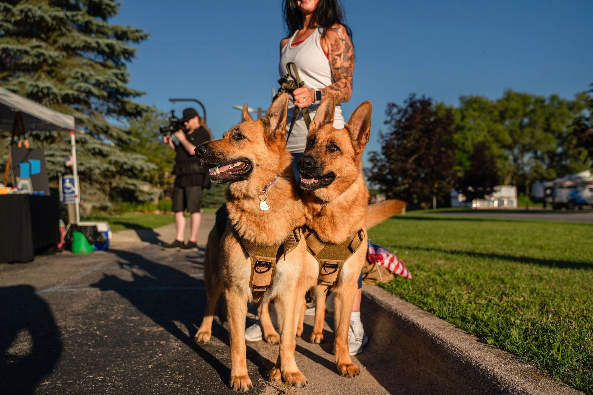 Two German Shepherds wearing harnesses stand together on a sidewalk, accompanied by a woman with tattoos. A cameraman is visible in the background. Trees and grass are in the surrounding area.