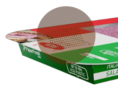 Micro Perforation.png
