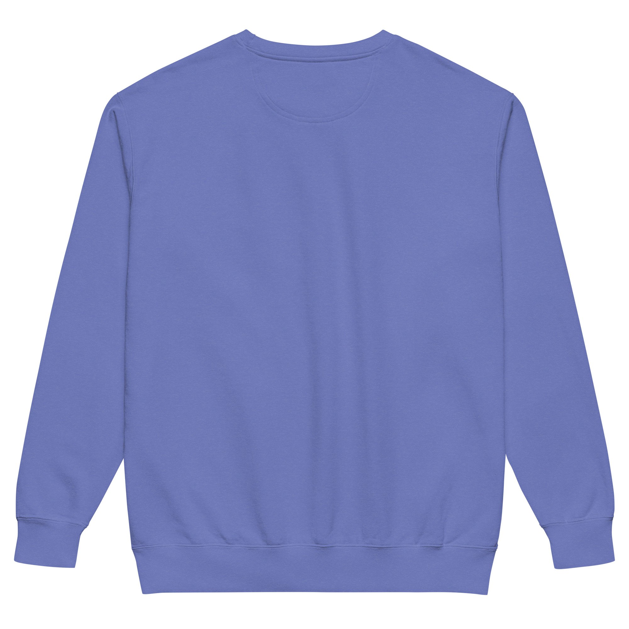 unisex-garment-dyed-sweatshirt-flo-blue-back-69ac8c89c15b2.jpg