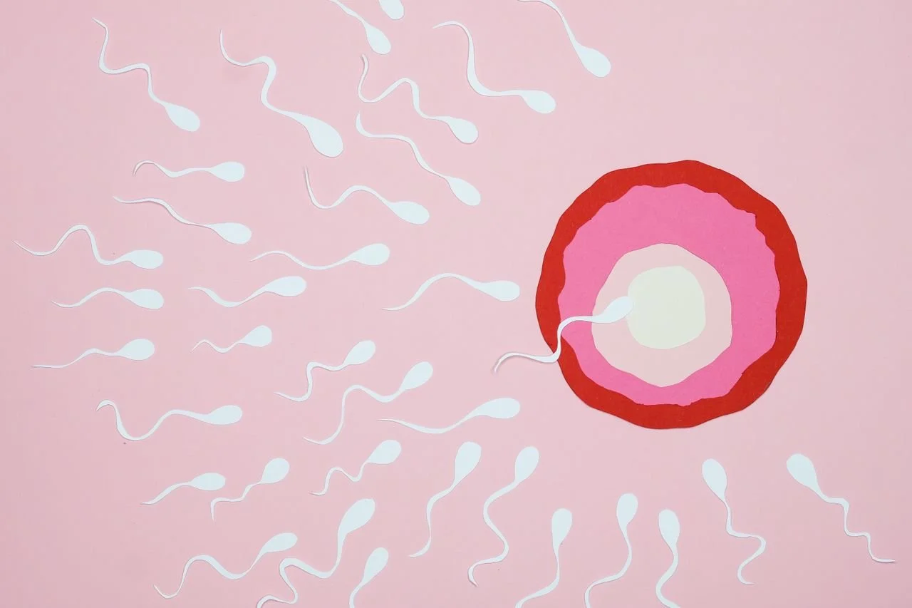 10 Benefits of Finding IVF Acupuncture Near Me