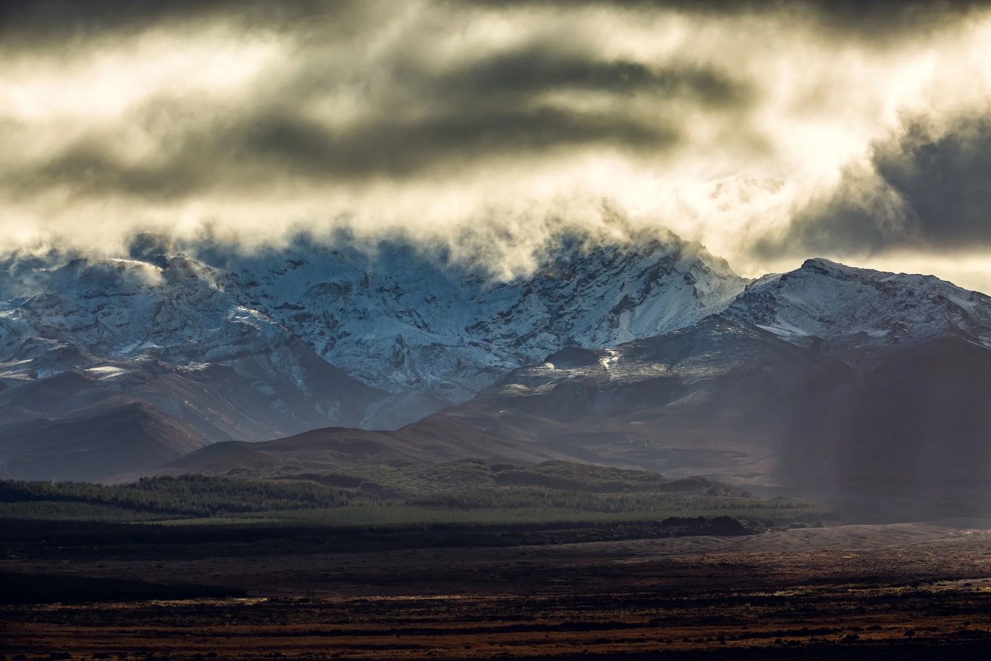 North_Island_Road_Trip_JUNE_2020-172_LR.jpg
