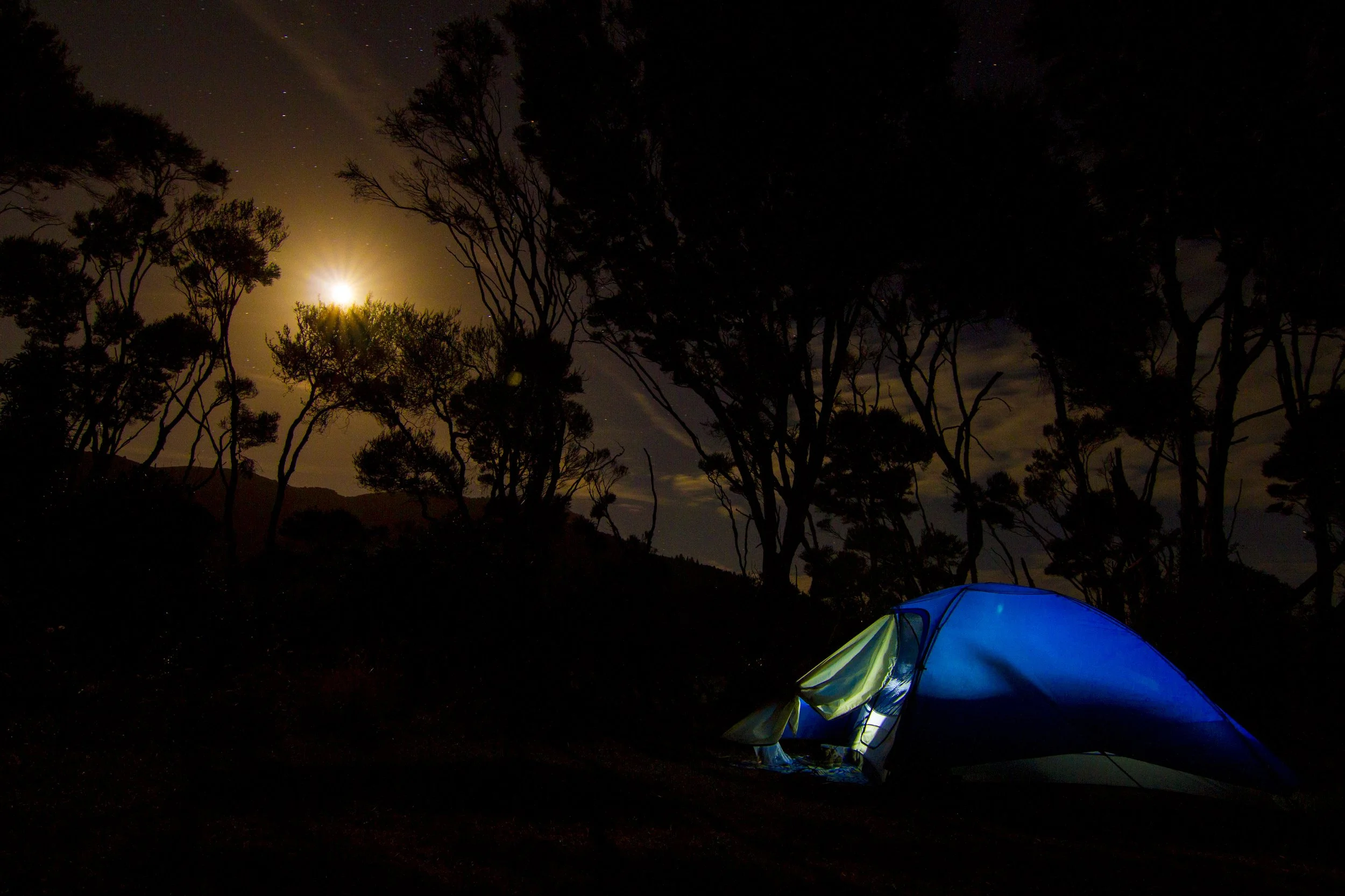 nz---kenepuru-head_16540259309_o.jpg