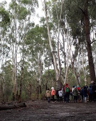 The Nangak Tamboree Wildlife Sanctuary

Recently, in one of Sarah's medium sized humans, was able to do a Twilight tour at Nangak Tamboree Wildlife Sanctuary, while thoroughly ditched by her child...as the supervising adult, Sarah was able to still d