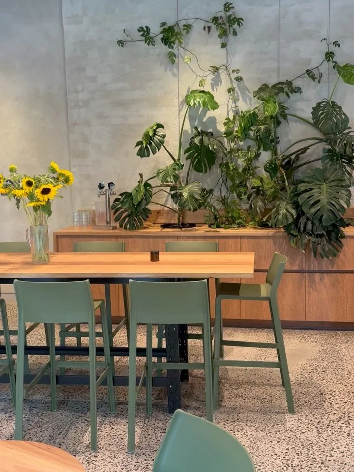 Hello new neighbours! @contrabandcoffeetraders have just opened a BEAUTIFUL new space at 312-314 Lygon Street, Brunswick East. Go check them out! Great place to pick up your beans.