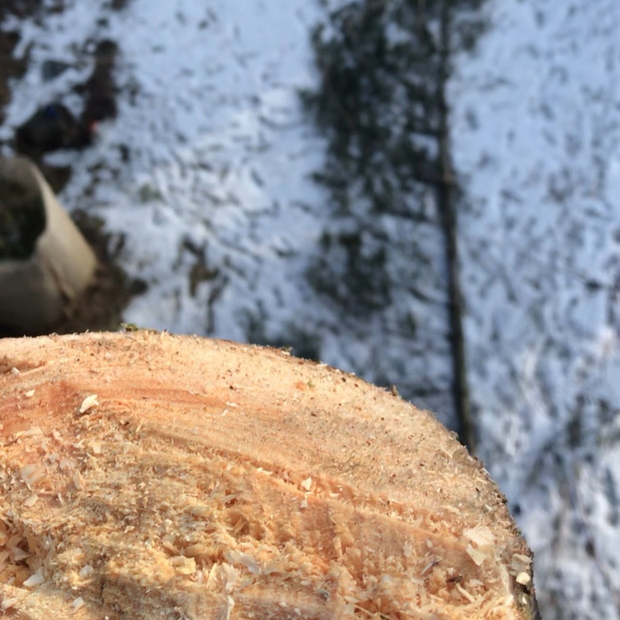 TALL TOP WITH HOUSE.jpg