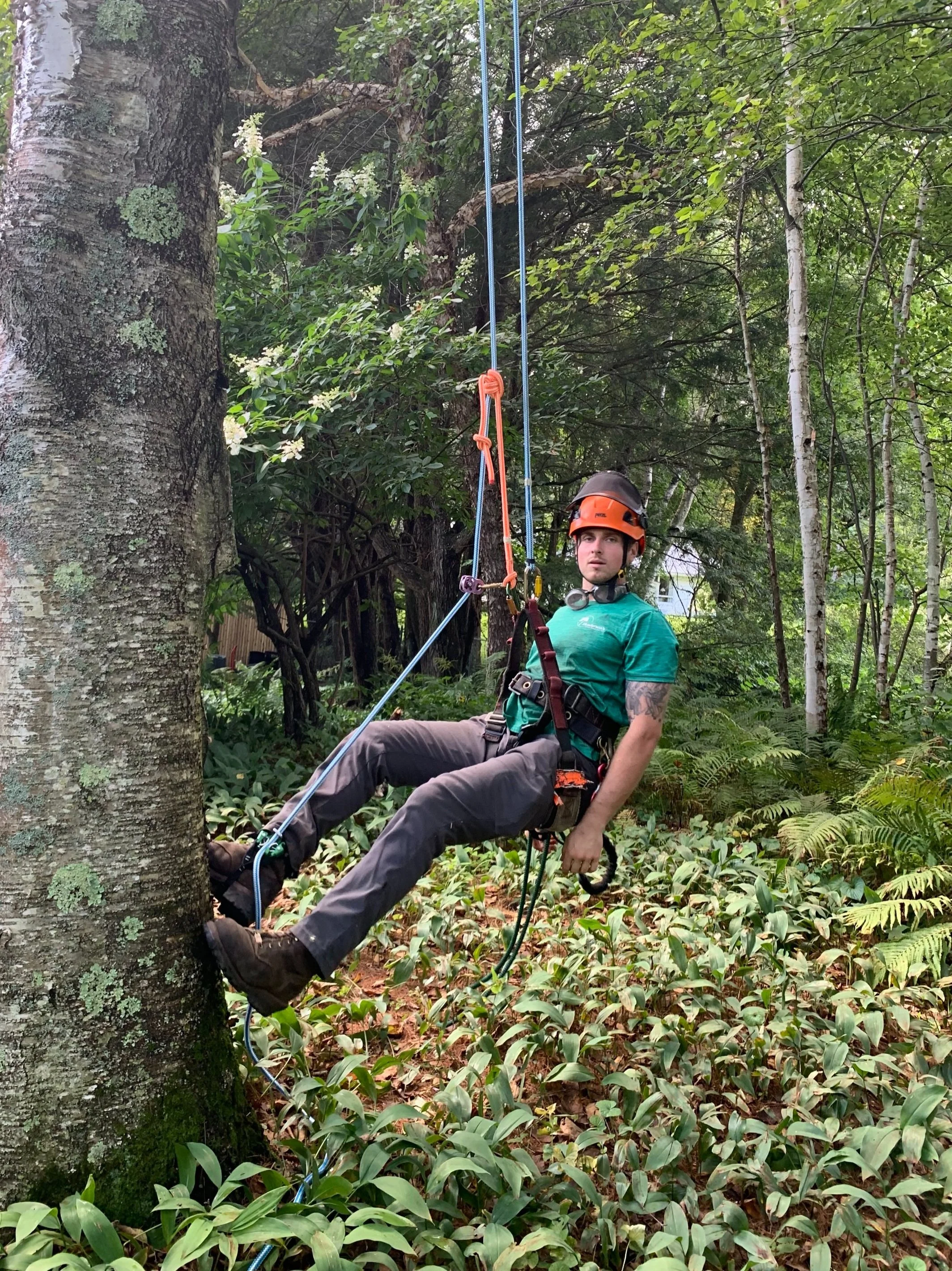 CLIMBING GREEN SHIRT.jpg