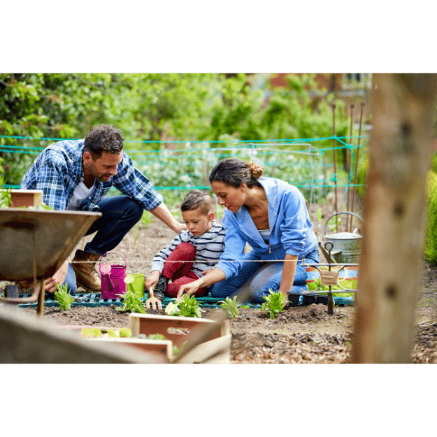 A family gardening outdoors, with a man, woman, and child working together planting or tending to plants in a garden bed, surrounded by gardening tools and greenery.