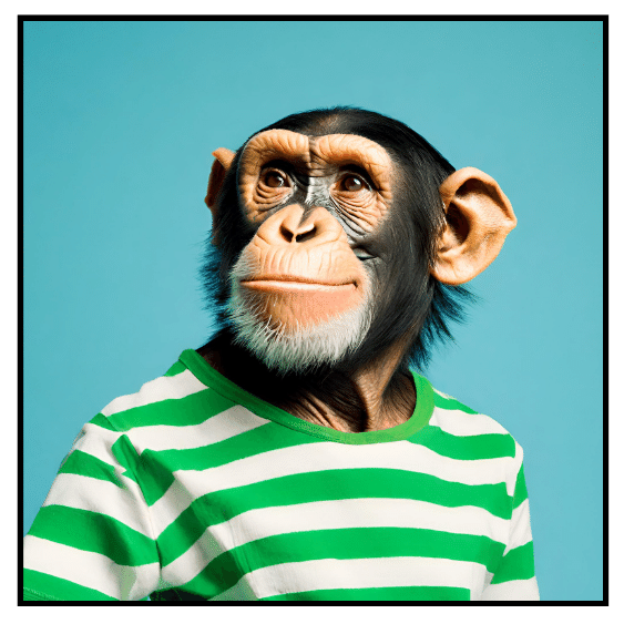 Spotlight Monkey Branding Prices