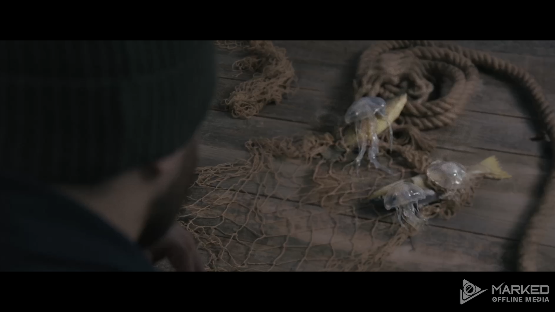 Boat 2.png