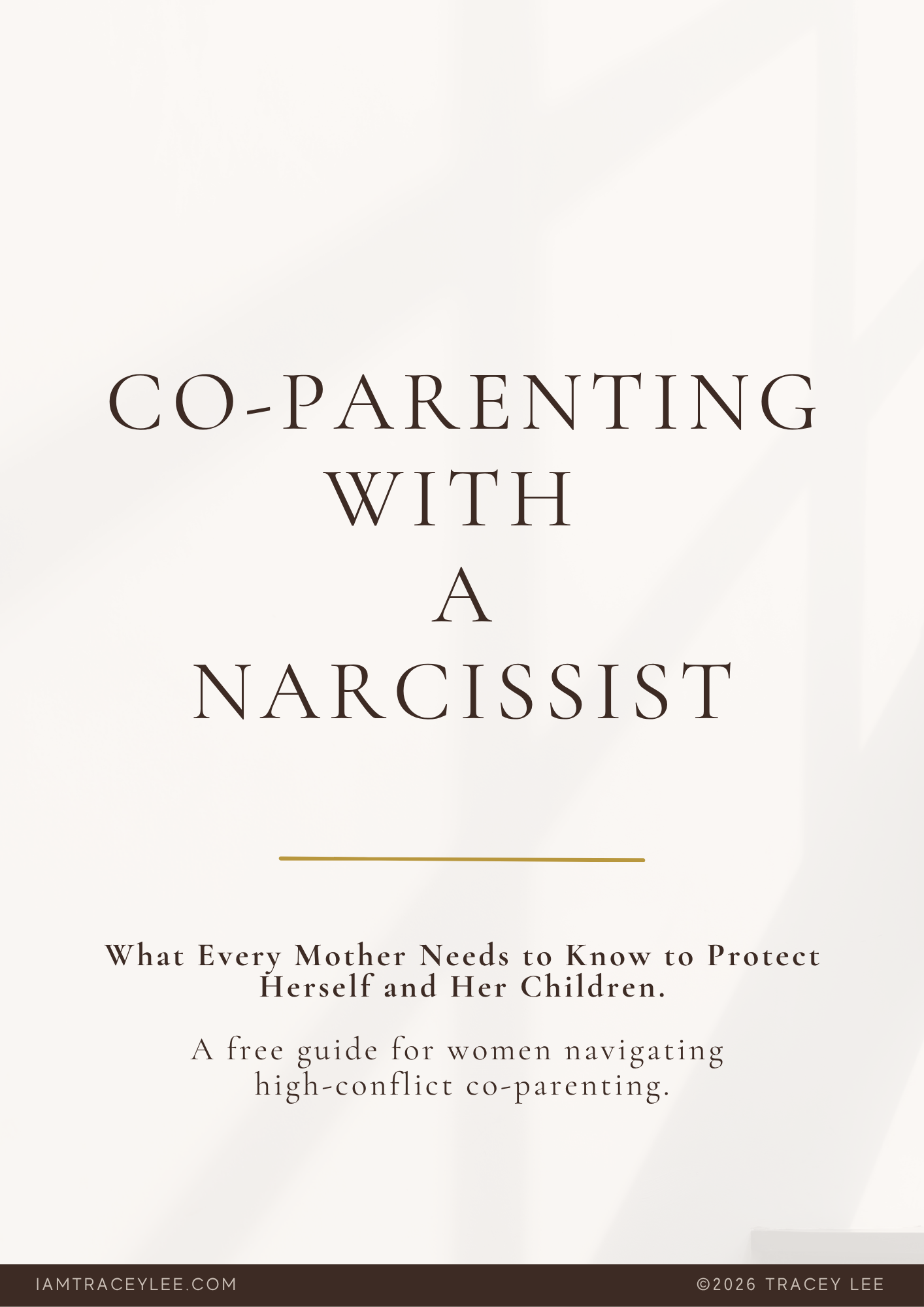 Co-parenting with a Narcissist.png