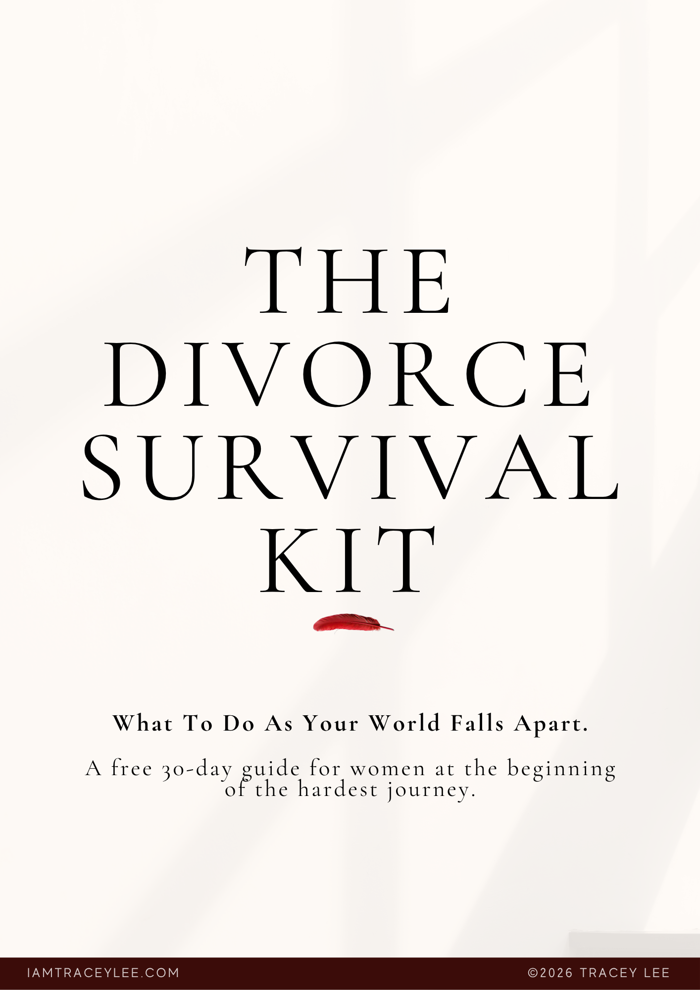 The Divorce Survival Kit