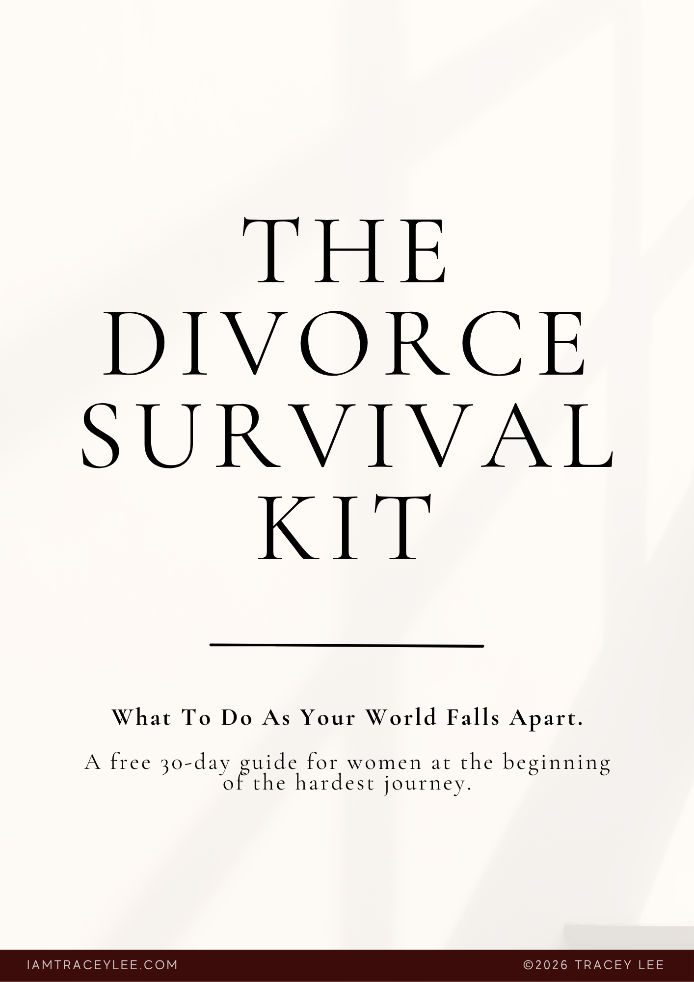 The Divorce Survival Kit