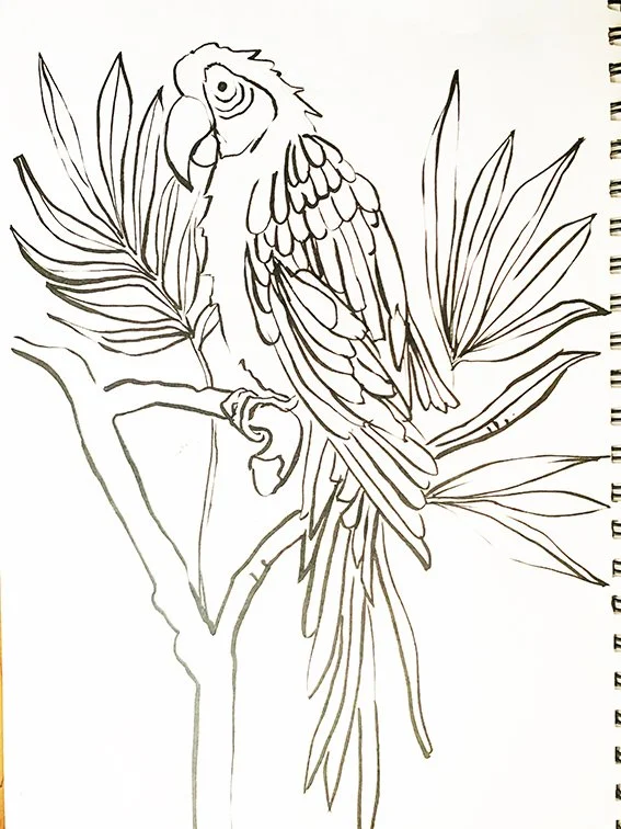 parrot Sketch.jpg