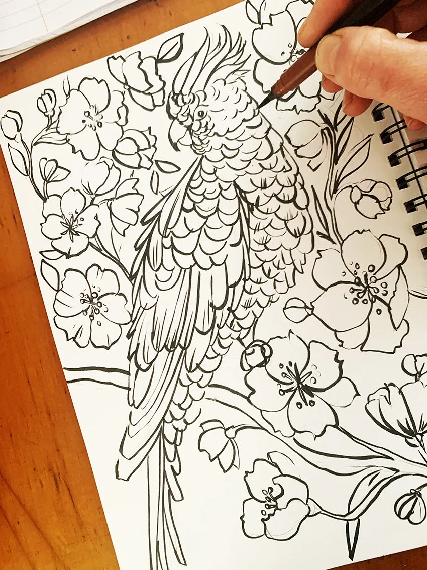 cockatoo sketching.jpg