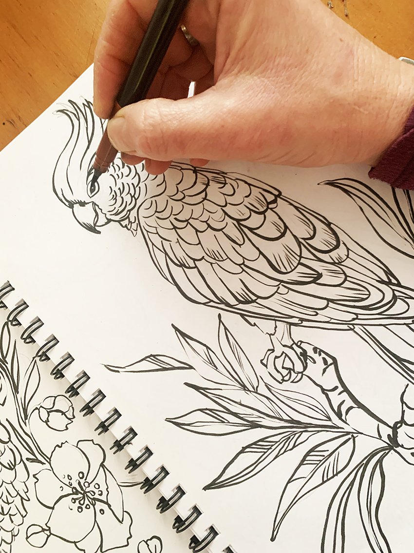 Parrot Sketching.jpg