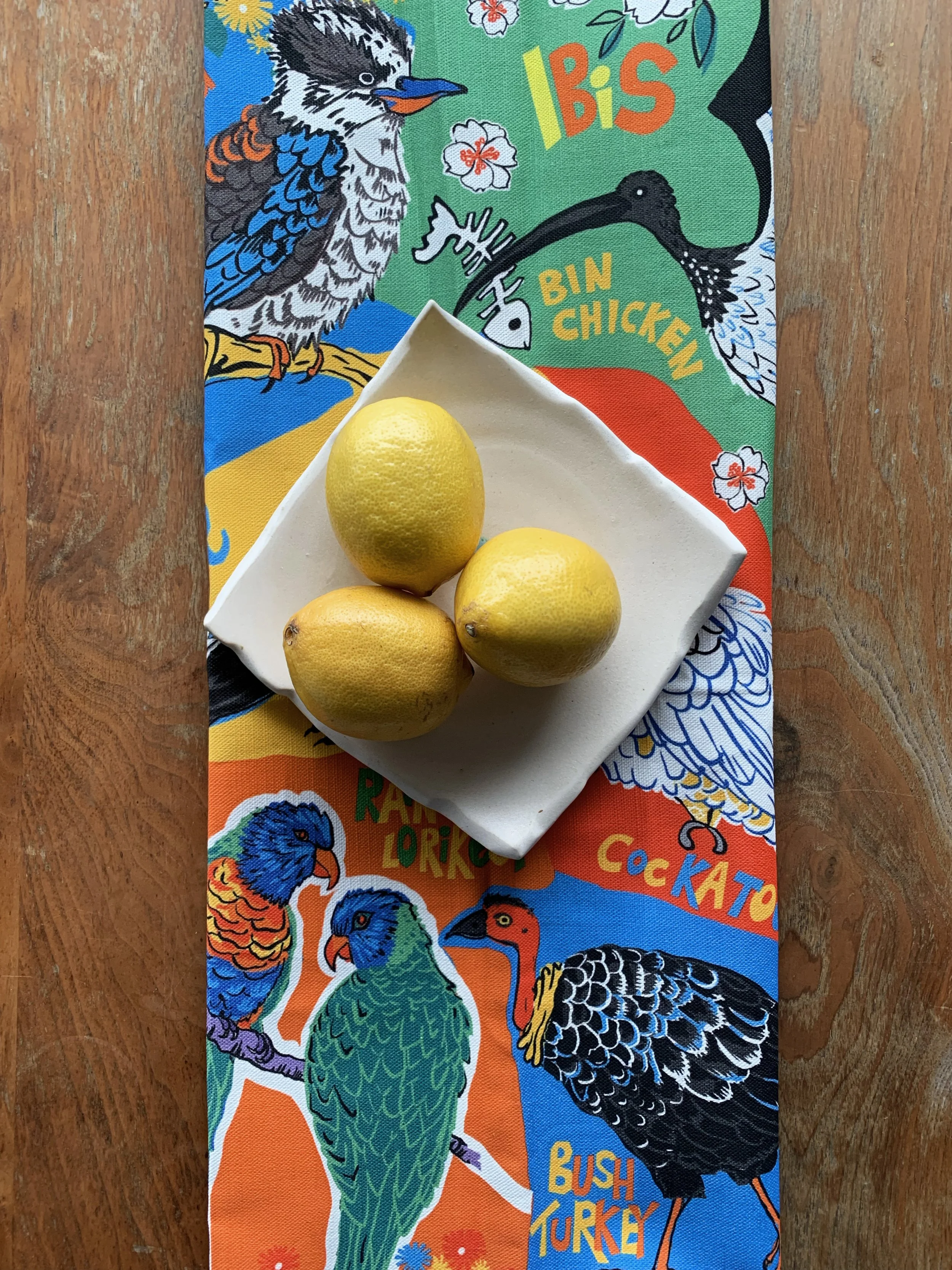 Birds of Brisbane with Lemons.1.jpg
