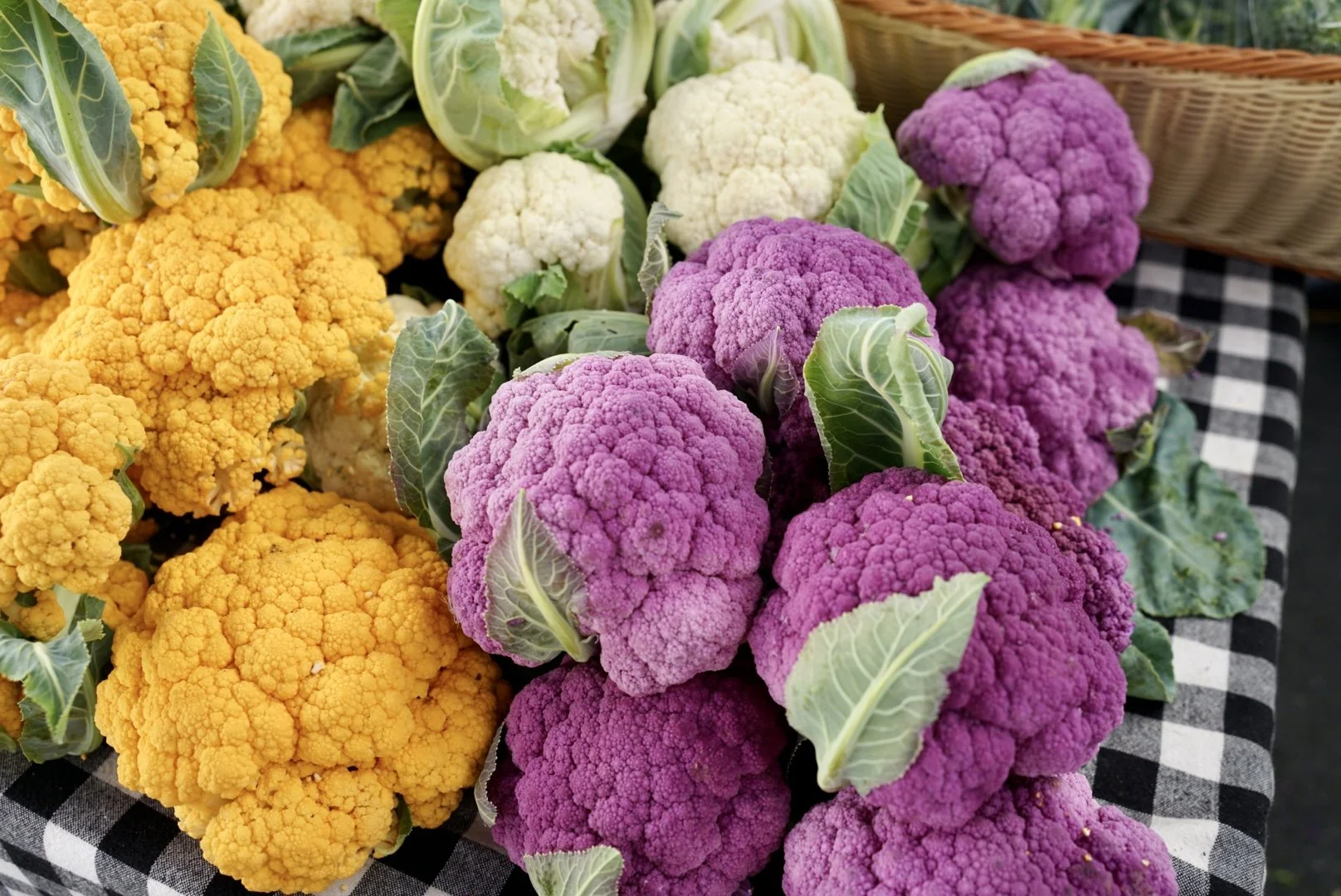 2022-09-24 11.40.11.jpg