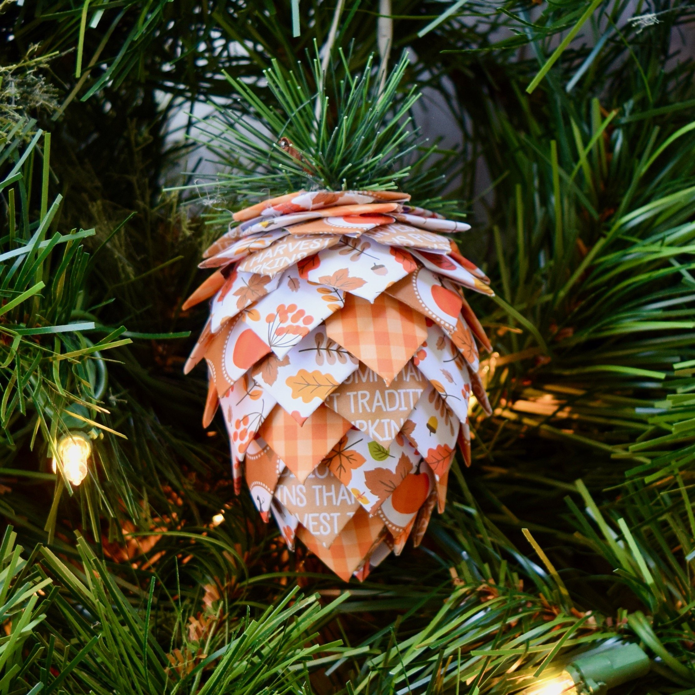 harvest pumpkins pinecone.jpeg