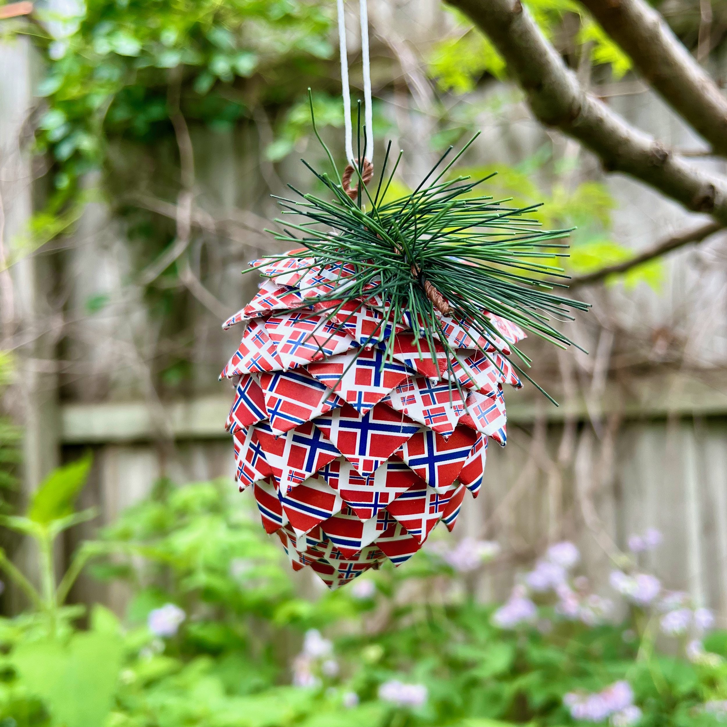 norway pinecone outside.jpeg