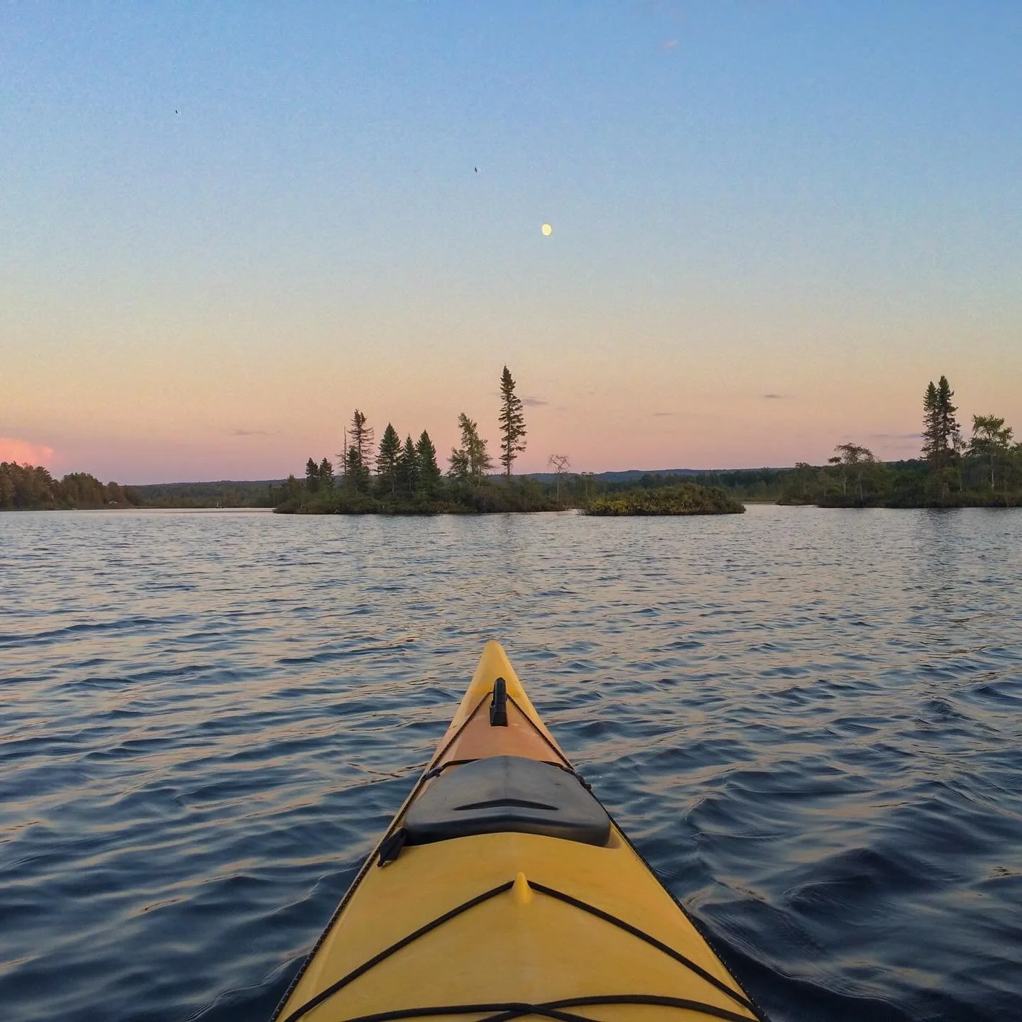 &ldquo;There was trouble all around, but little mercies everywhere.&rdquo; -Amy Fleury

We hope you can find peace and calm in the many beautiful corners of nature. And when you&rsquo;re ready and able, fight like hell for our planet and its people. 