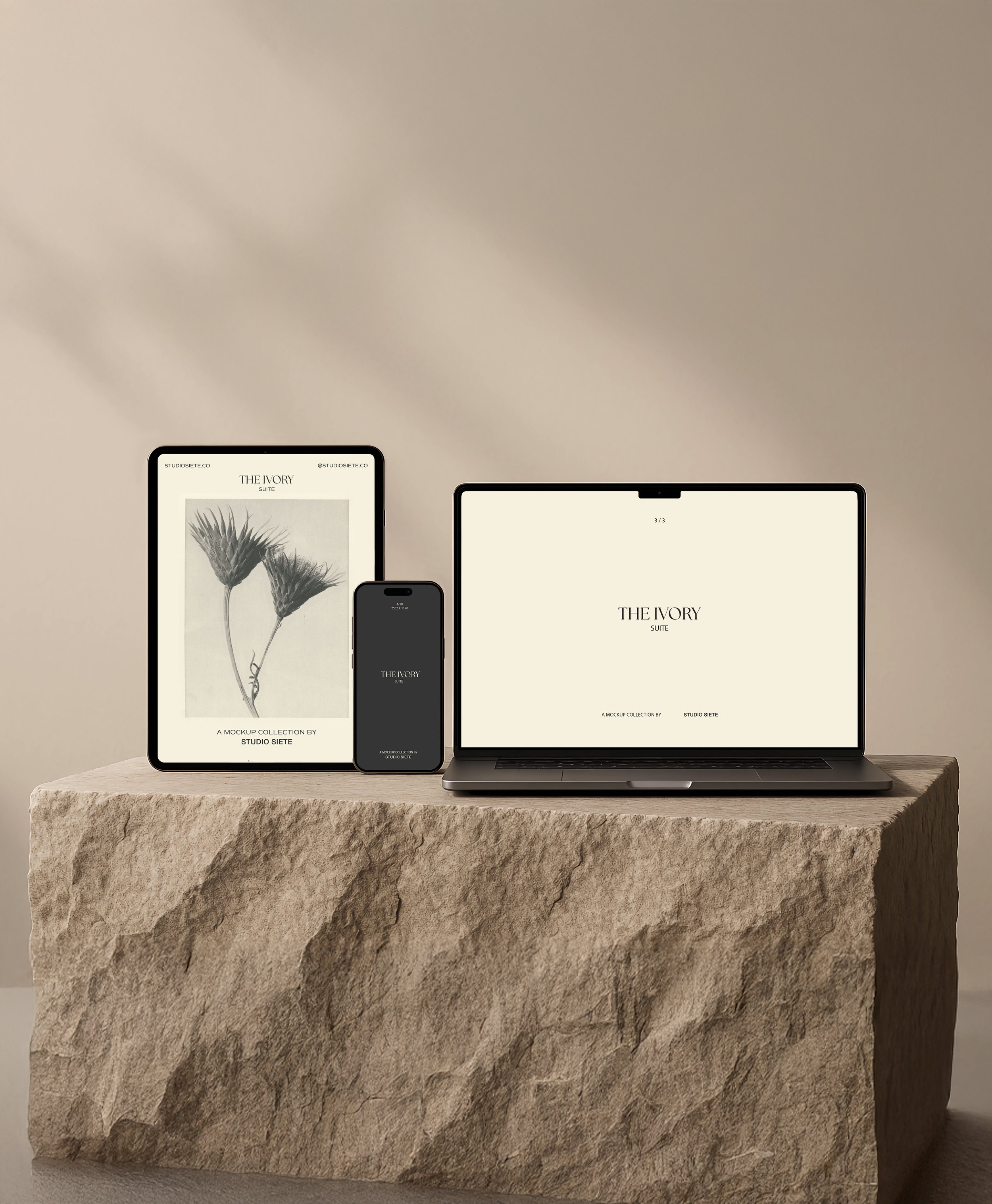 iPad iPhone & MacBook Mockup copy 2.jpg