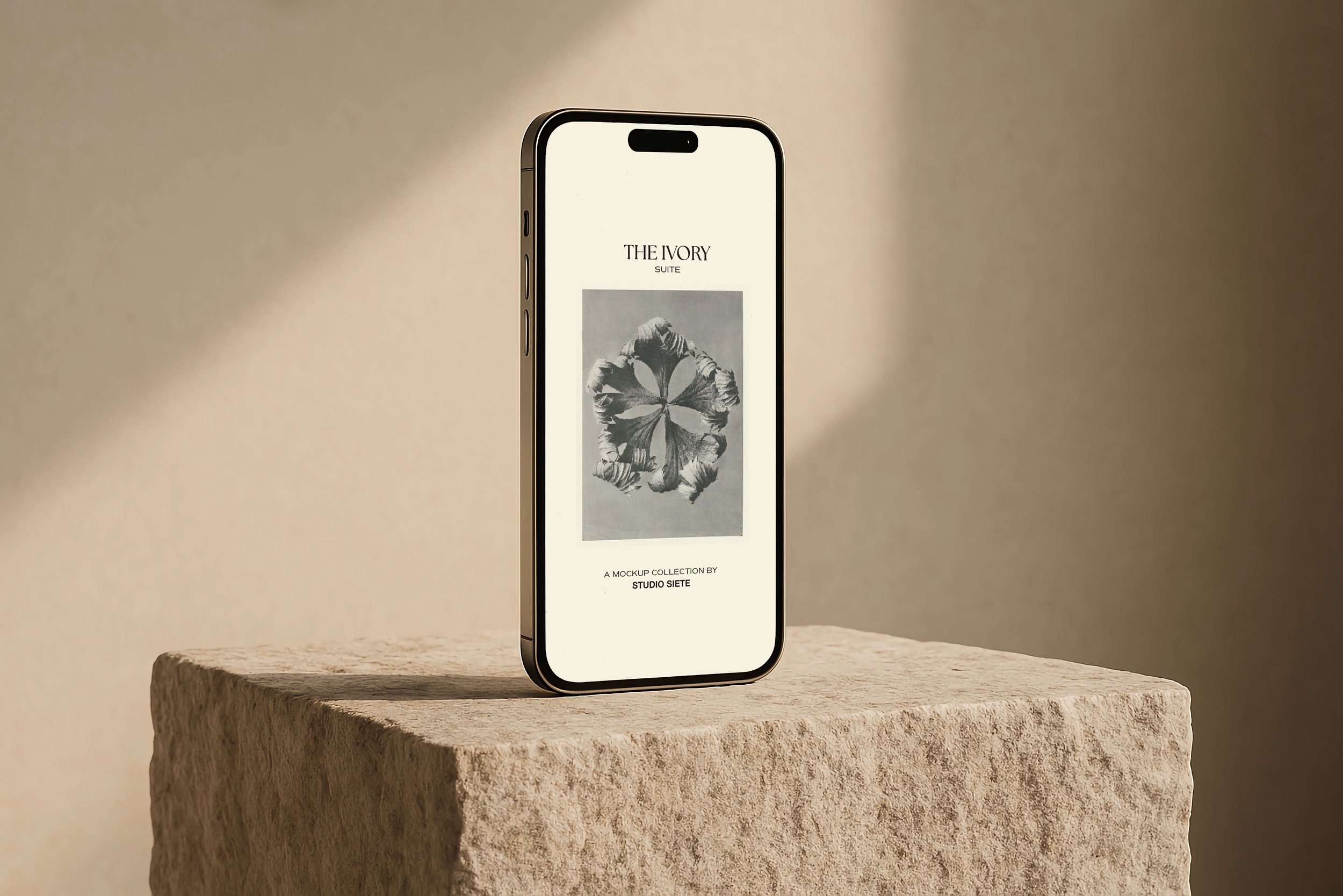 StudioSiete_iPhoneHorizontalMockup.jpg