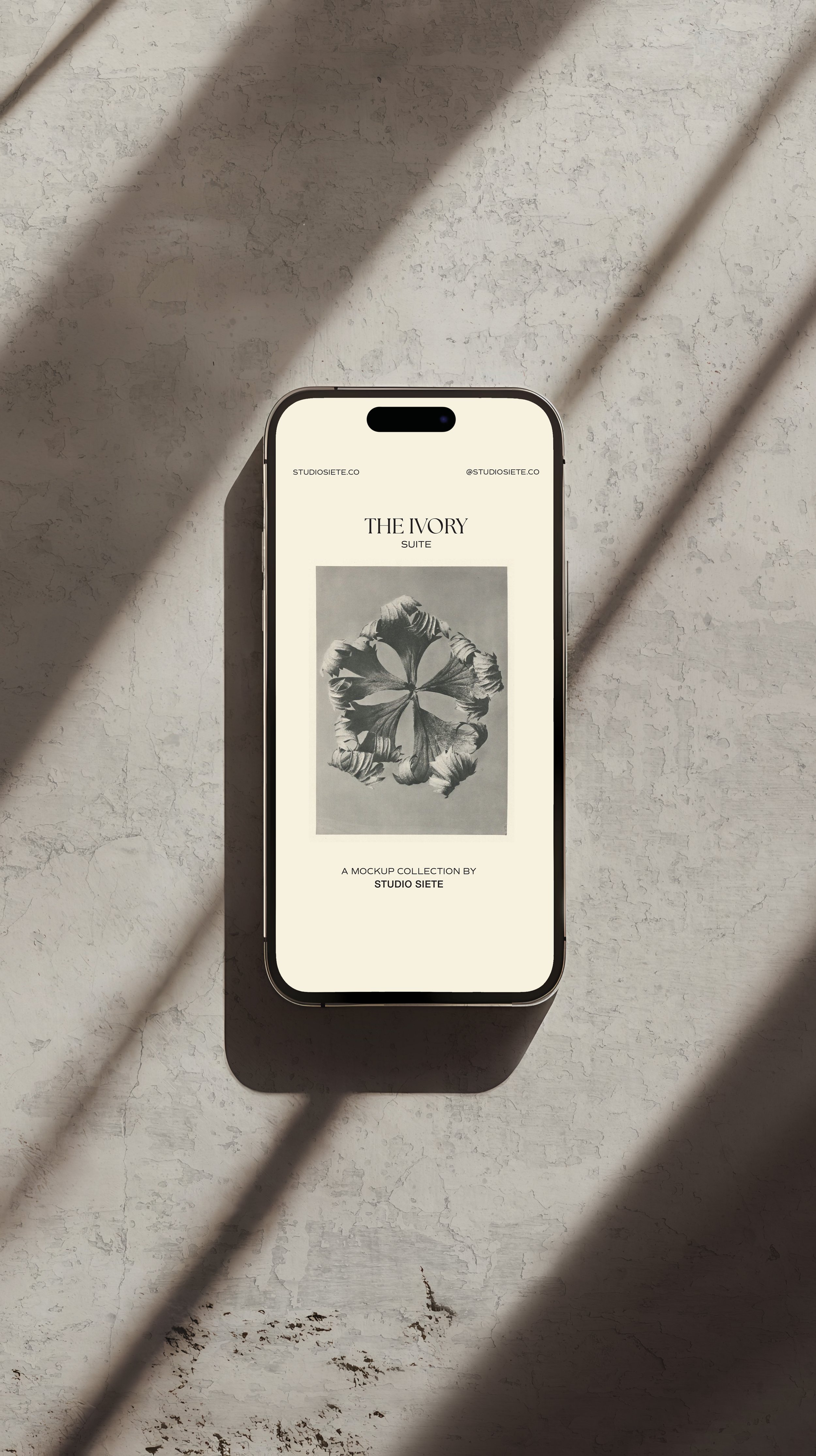 iPhone Mockup - The Ivory Suite