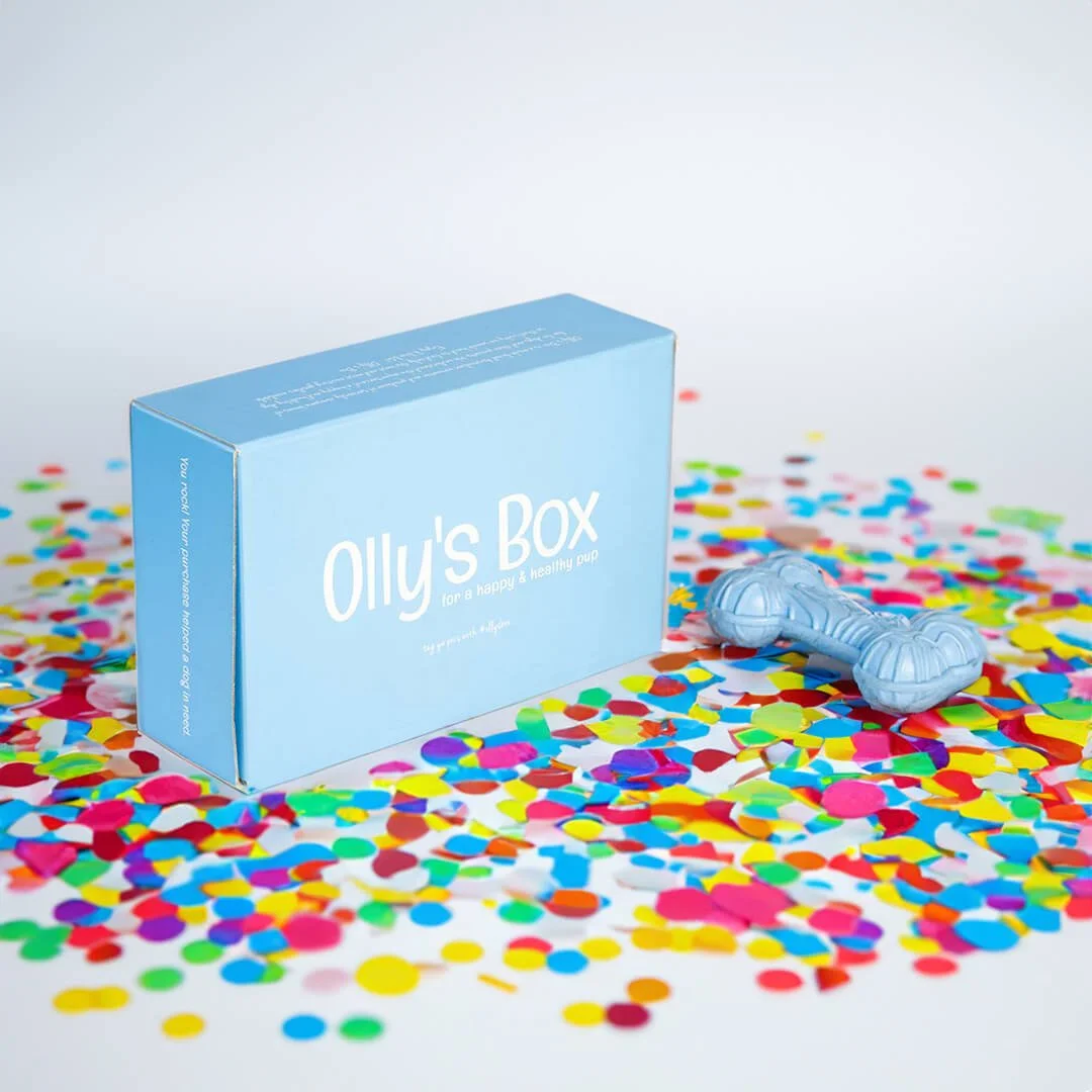 Blue-Box-Nam-Packaging.jpg
