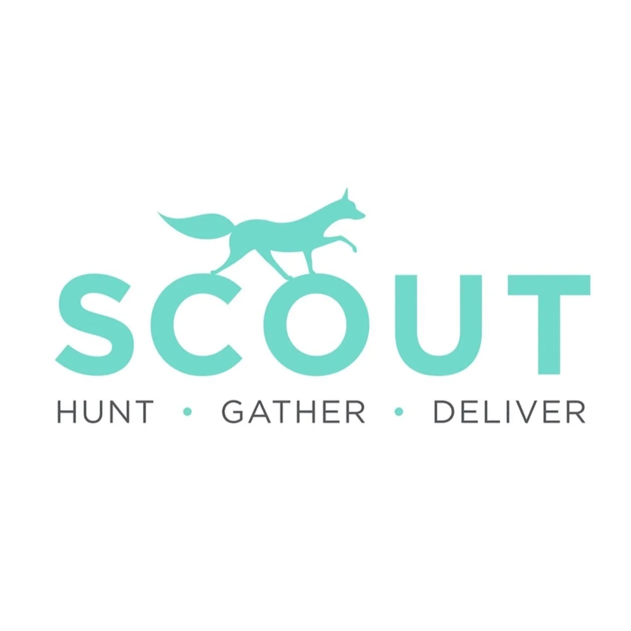 Scout Logo.jpg