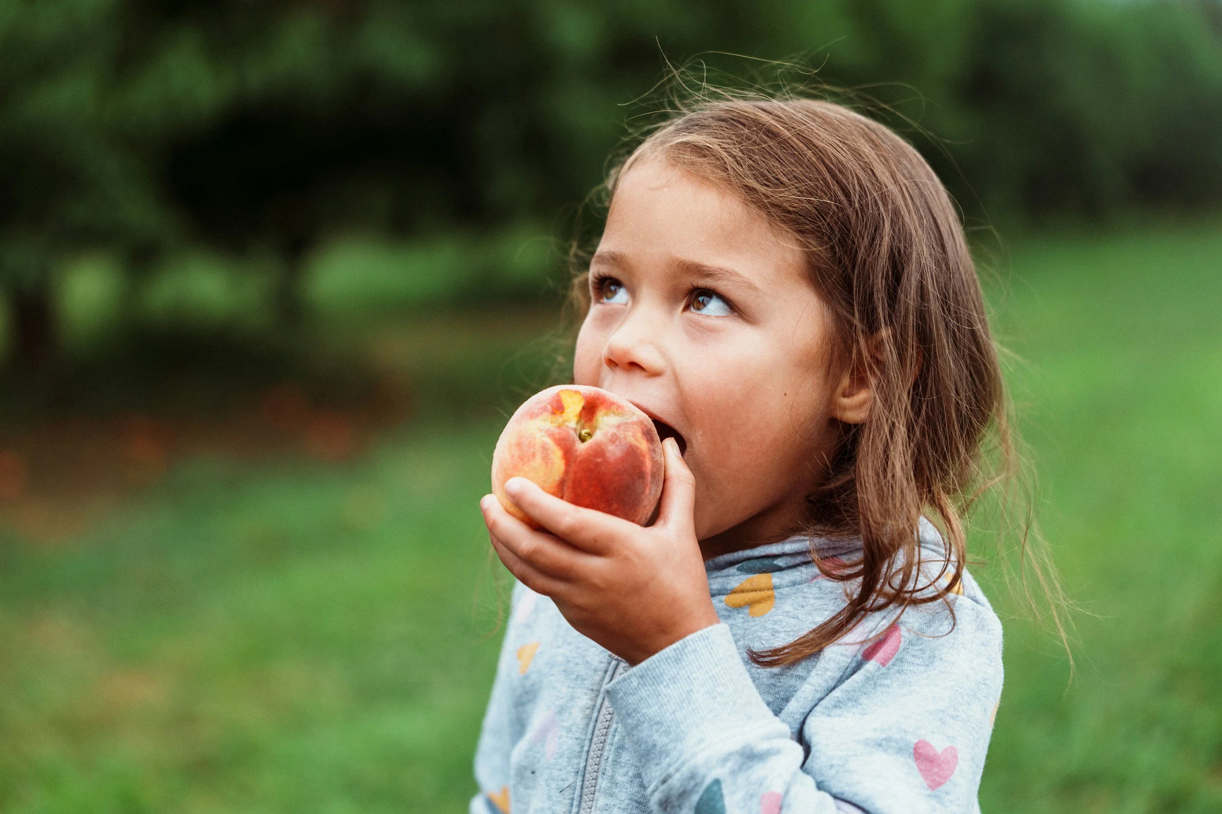 child eating an apple