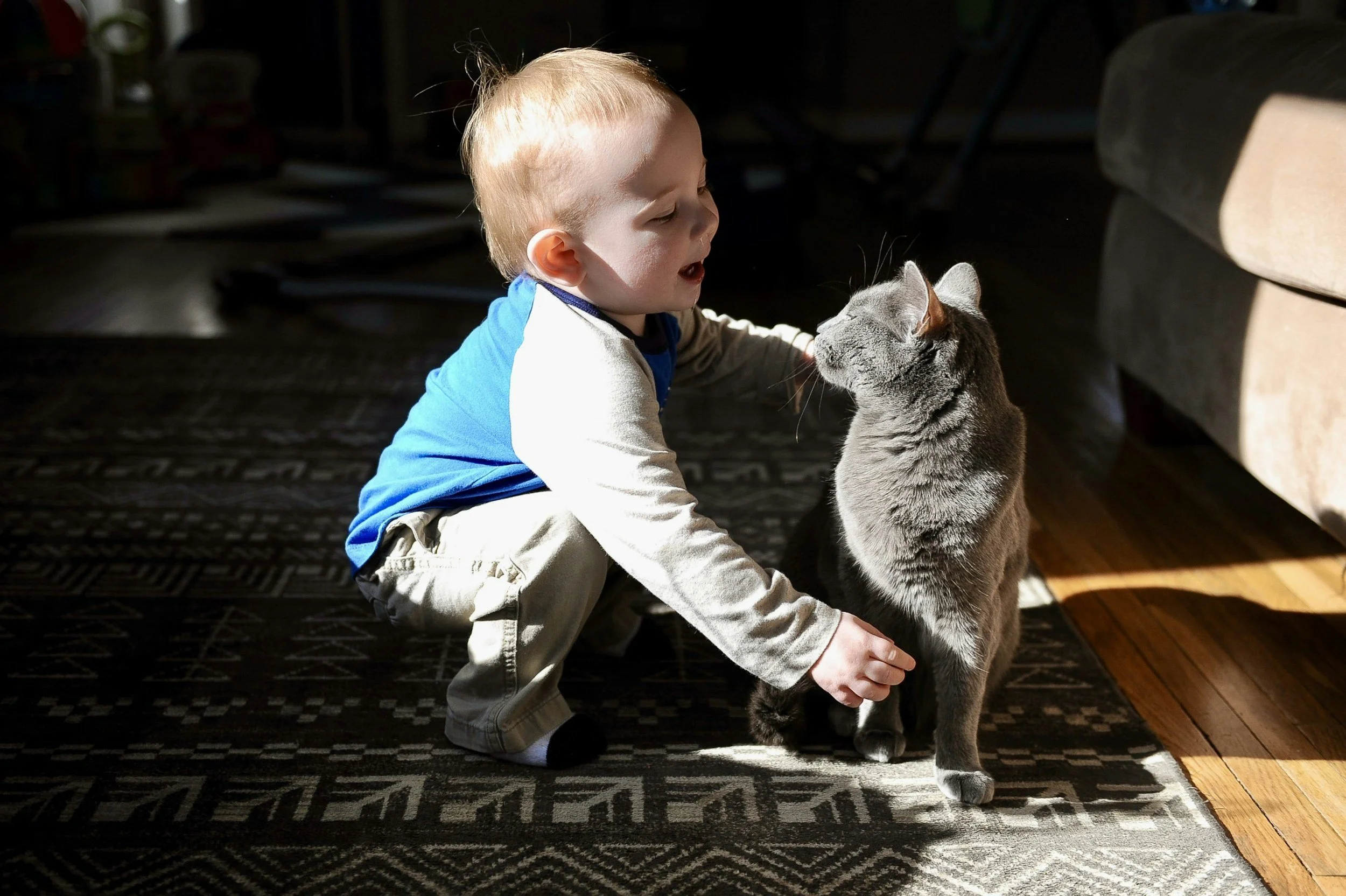 toddler playing with cat
