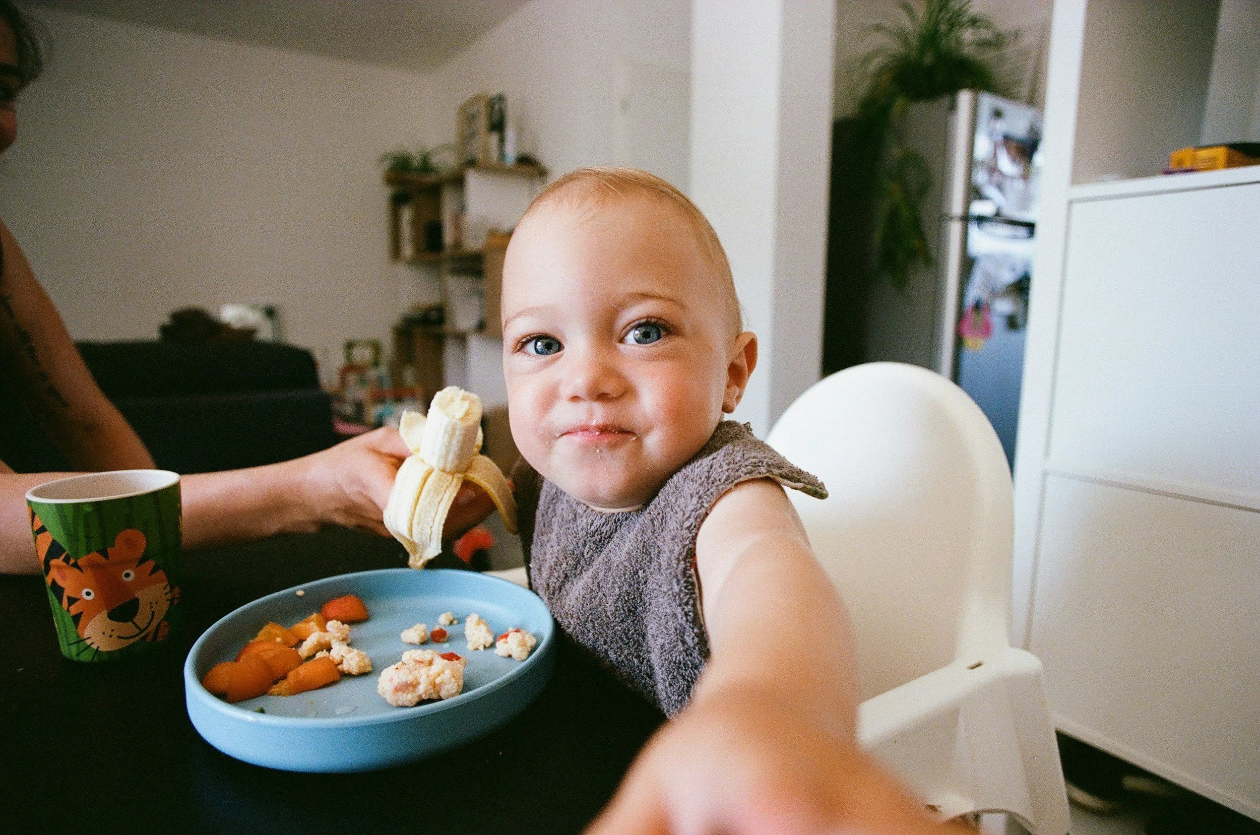 Feed the Brain First: Why Protein at Breakfast and Balanced Snacks Matter for Kids