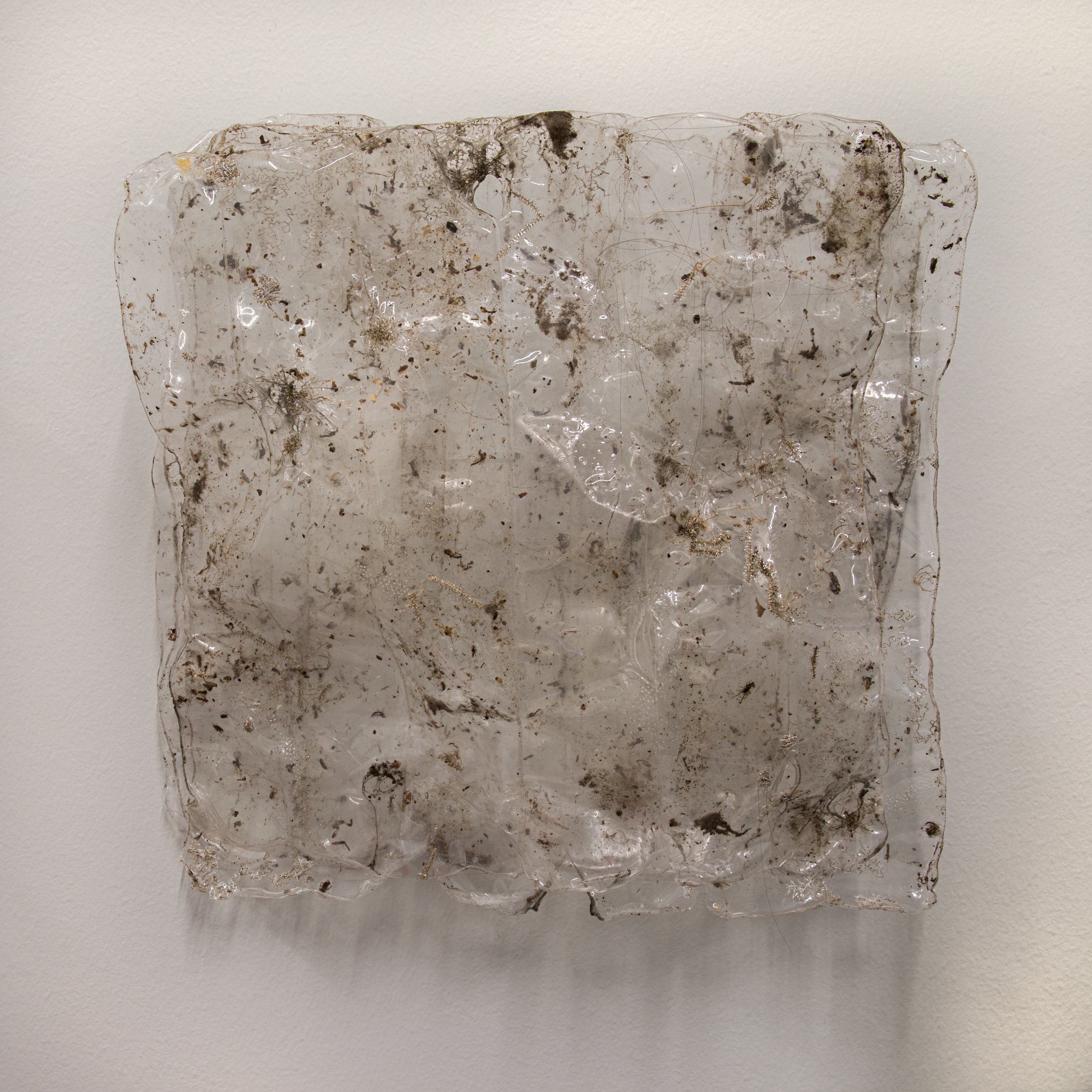 Square2-1 4D4A2542 copy.jpg