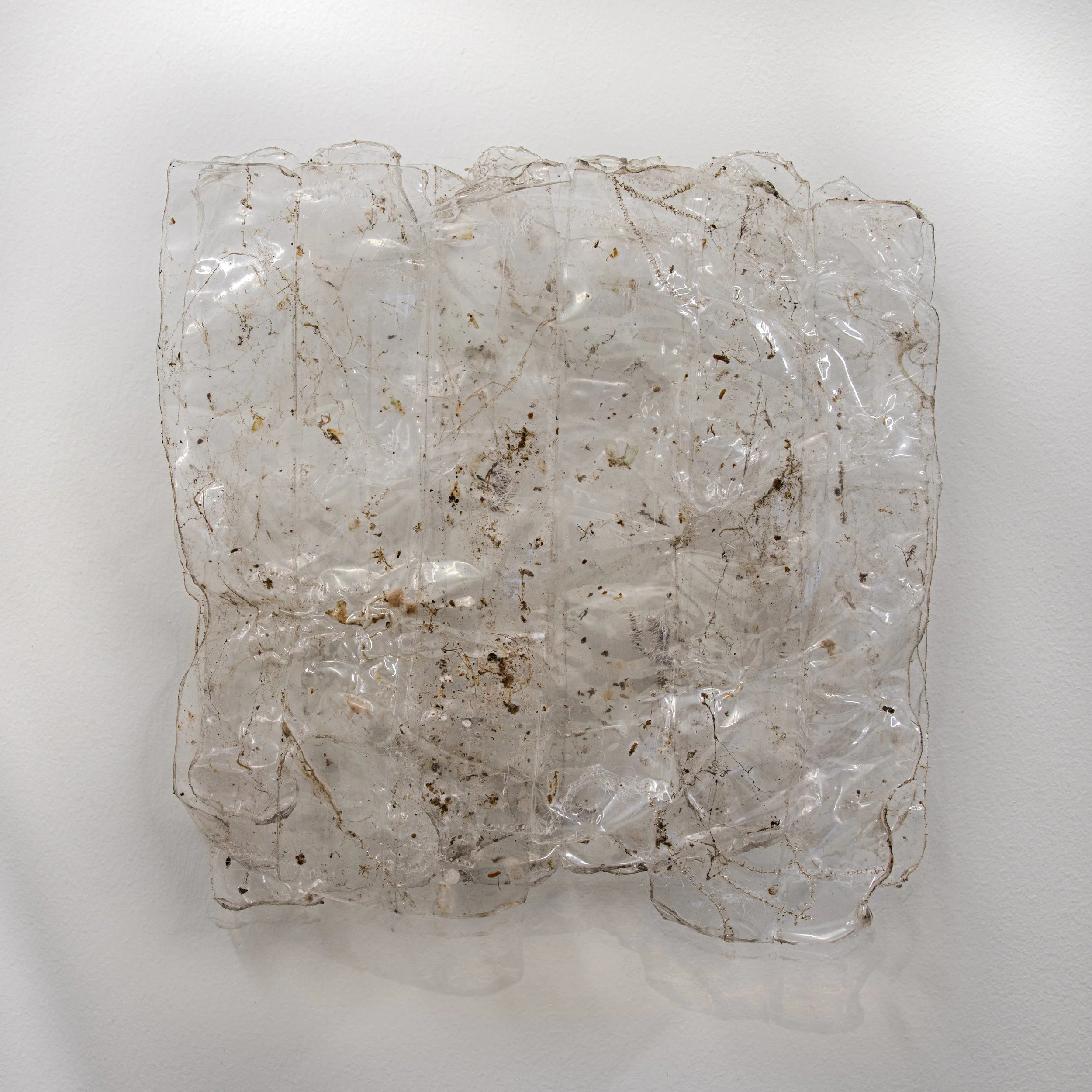 Square1-1 4D4A2541-2 copy.jpg