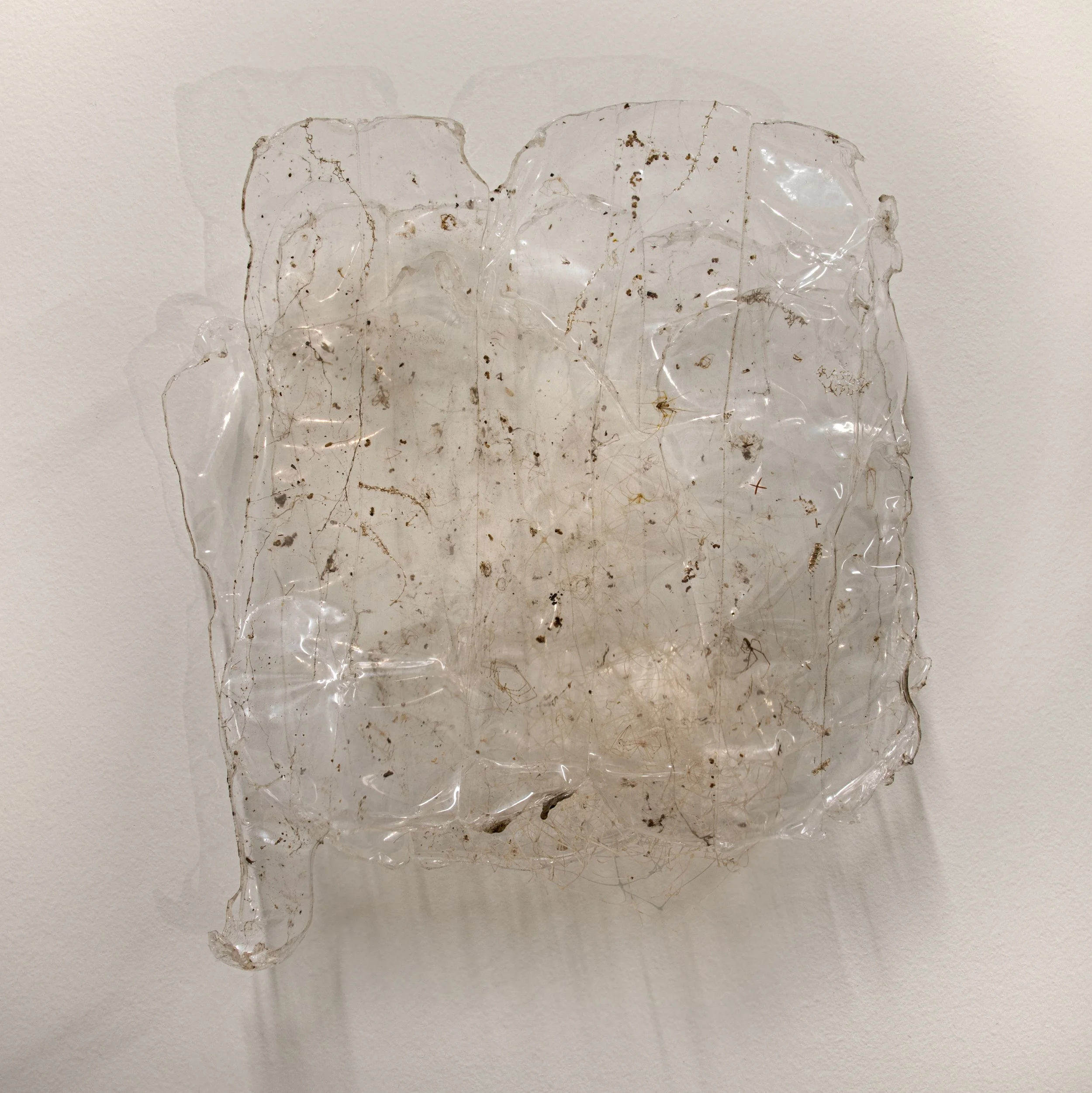 Square4-2 copy.jpg