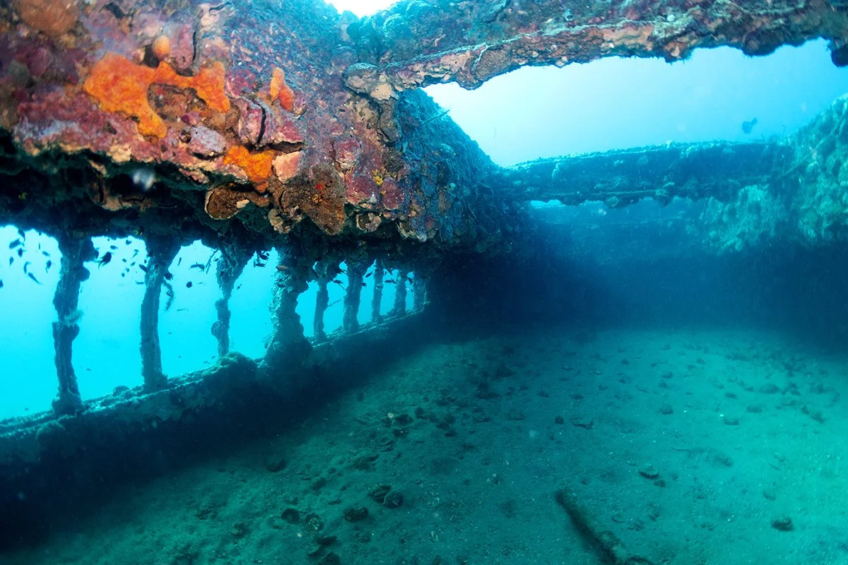 GPC_Nautilus_Rafael_Photography_003.jpg