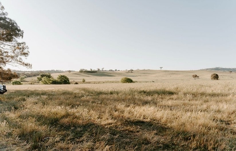 Come and visit our stunning landscape; take a walk through the paddocks and visit the Angus cattle, Suffolk sheep and our resident protector Alpacas 🐄🐑🦙
Stroll all the way to our stunning spring fed dam and have a picnic on the bank. 

Our stay 3 